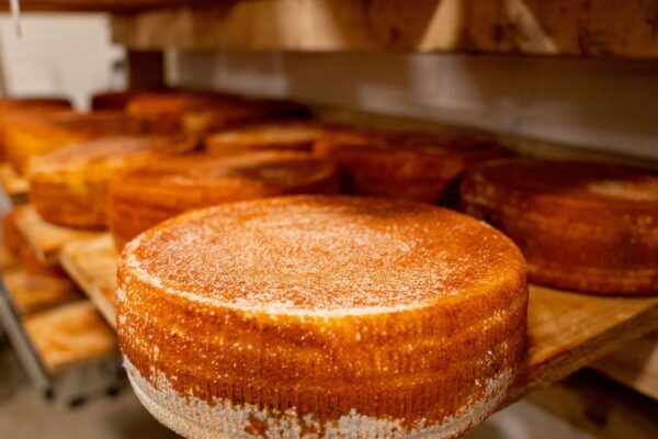 Italiensk tørke kan sende parmesan på luksusniveau – og det varsler en ny regning til danske forbrugere
