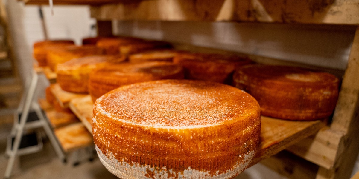 Italiensk tørke kan sende parmesan på luksusniveau – og det varsler en ny regning til danske forbrugere
