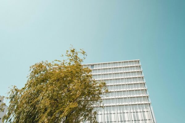 Novartis snubler i milliardkapløb mod hjerte-kar-sygdomme: Nu stiger presset på Amgen og Eli Lilly