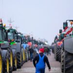 Regeringen lukker minkavl endeligt med stop i 2029