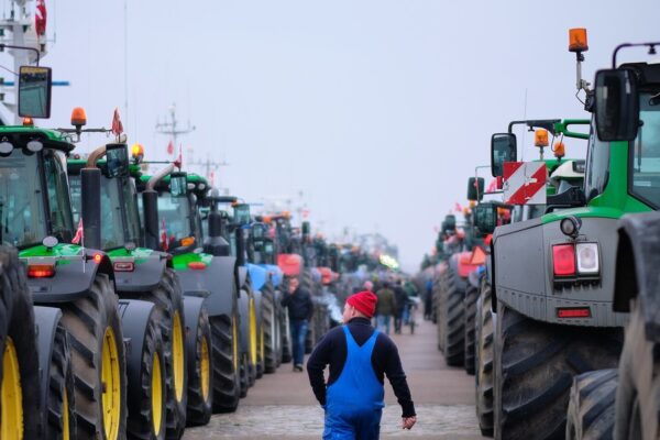 Regeringen lukker minkavl endeligt med stop i 2029